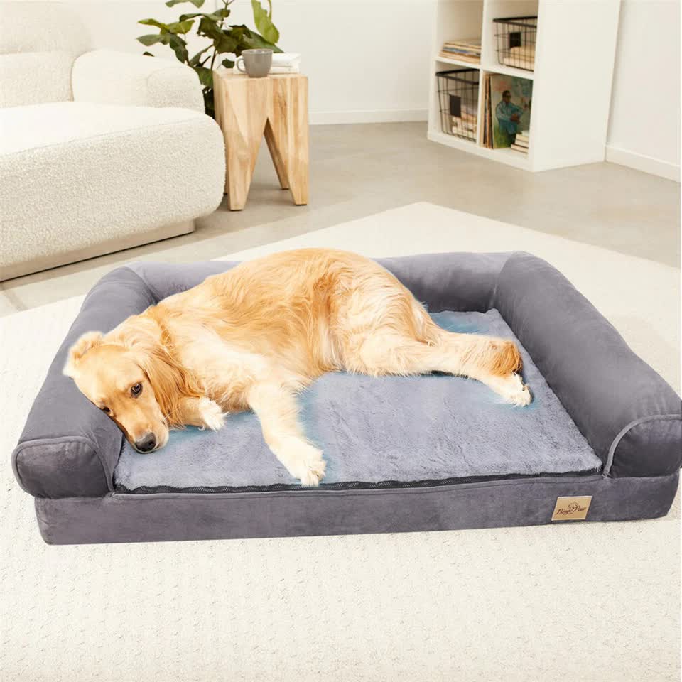 Medium Orthopedic Dog Bed with Bolster Comfort Mattress view 4
