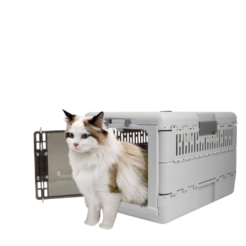 Portable Cat Travel Carrier Collapsible Plastic Kitten Pet Carry Crate view 2