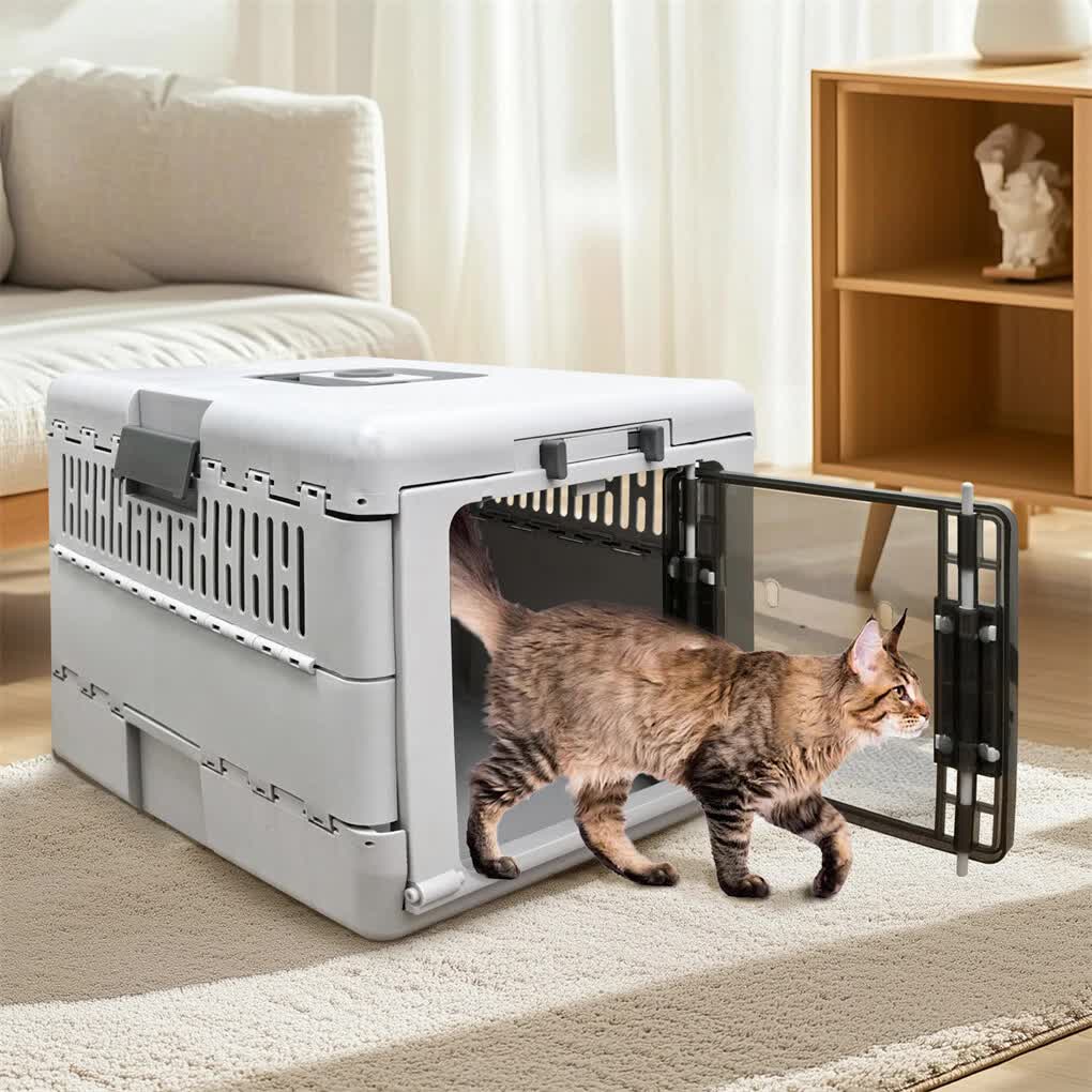 Portable Cat Travel Carrier Collapsible Plastic Kitten Pet Carry Crate view 7