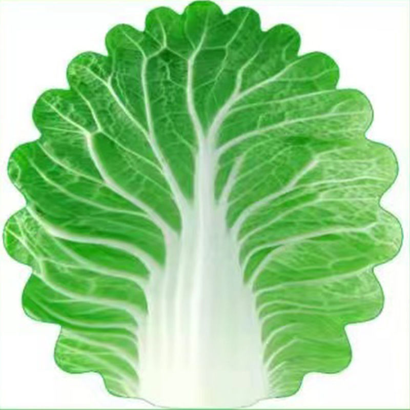 Cute Cabbage-Shaped Fleece Blanket – Fun and Cozy Throw for Naps — image 1