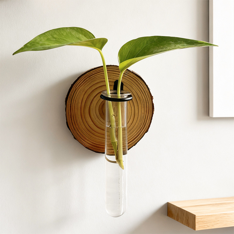 3-Pack Wall-Mounted Hydroponic Plant Test TubeFlower Pot for Indoor Plants & view 2