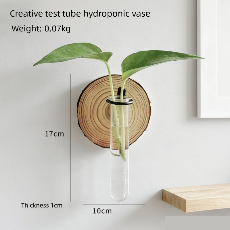 3-Pack Wall-Mounted Hydroponic Plant Test TubeFlower Pot for Indoor Plants & view 3