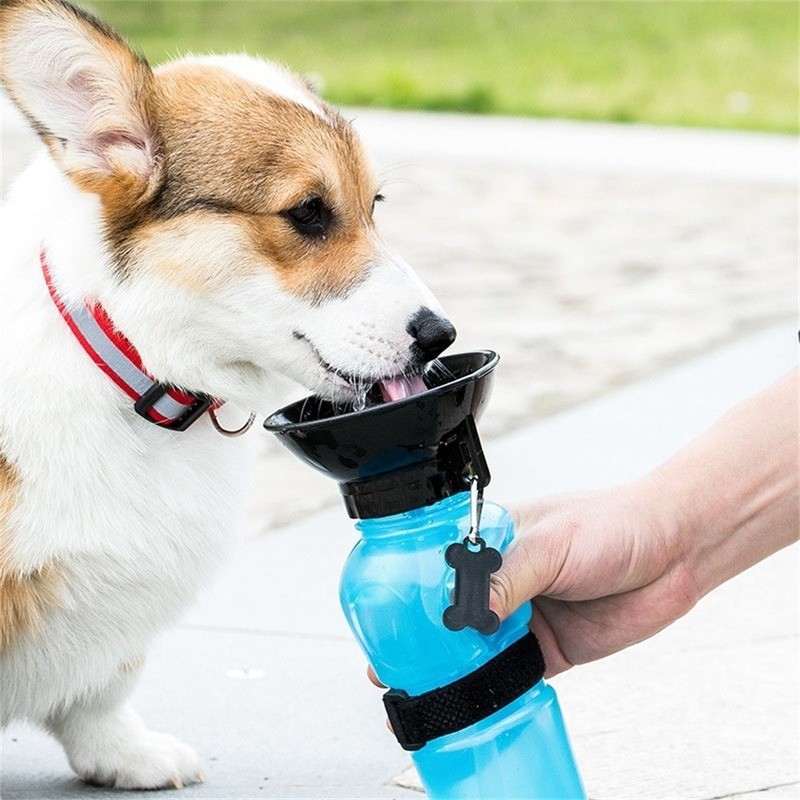 Pink 500ML Portable Pet Dog Water Bottle with 10cm Wide Bowl - Leakproof view 2