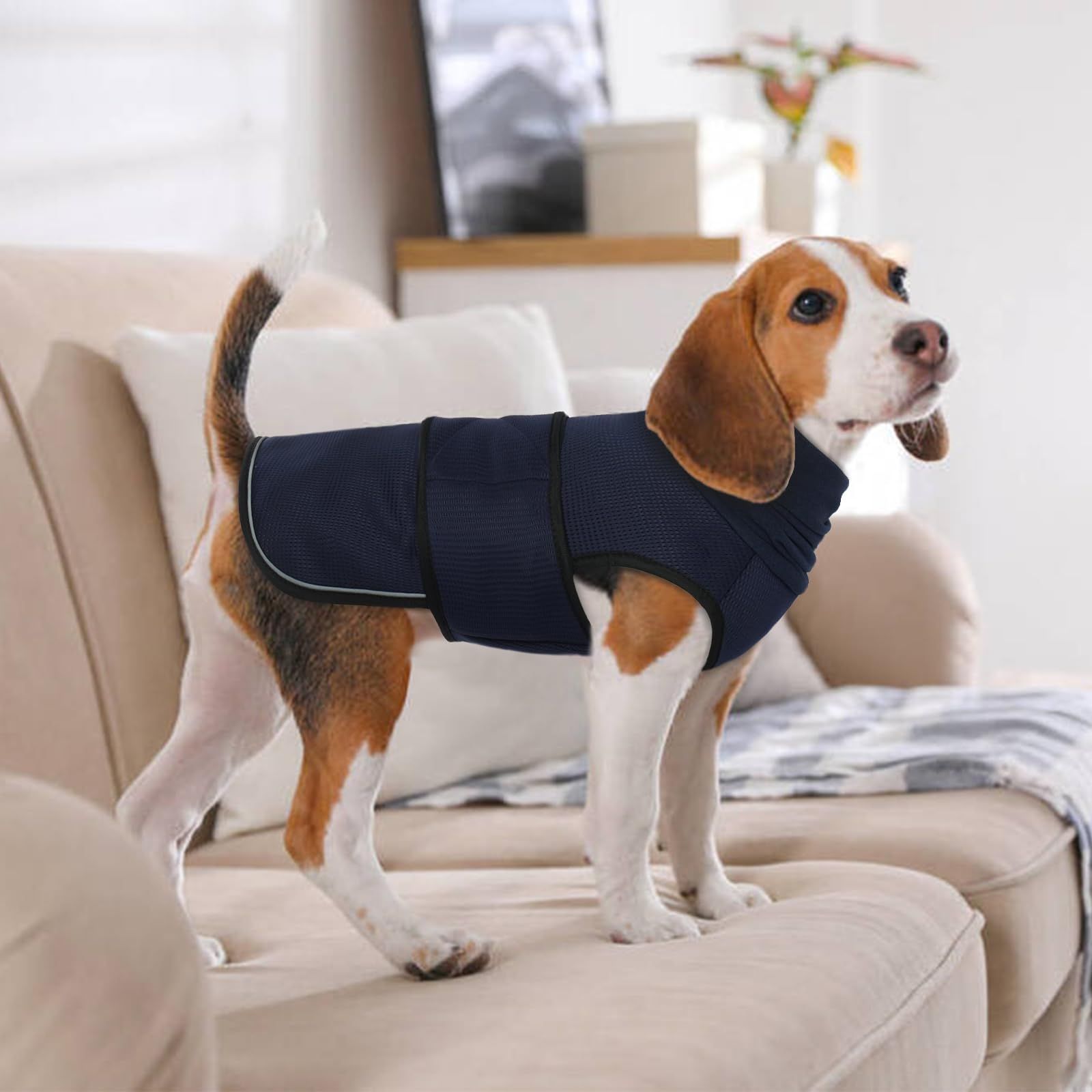 Dog Anxiety Vest and Coat view 3
