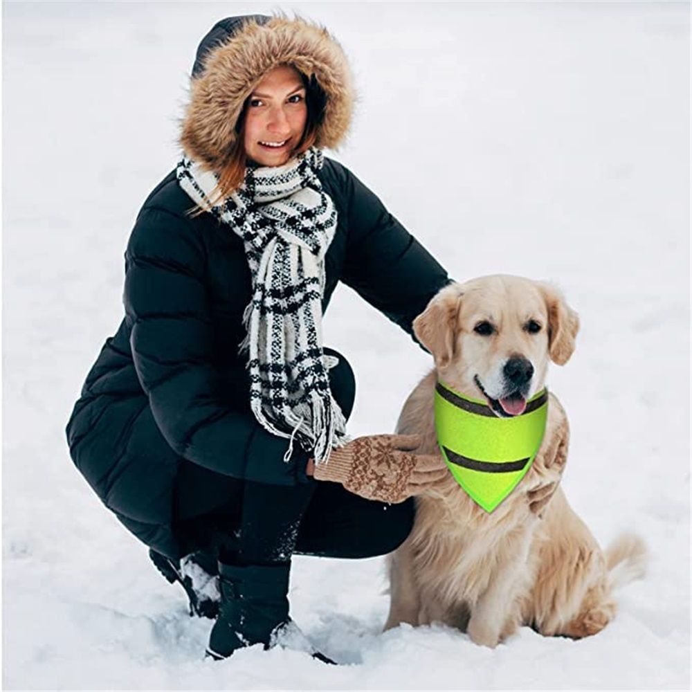 Set of 2 Dog Reflective Scarf Safety Pet Hunting Bandana view 3