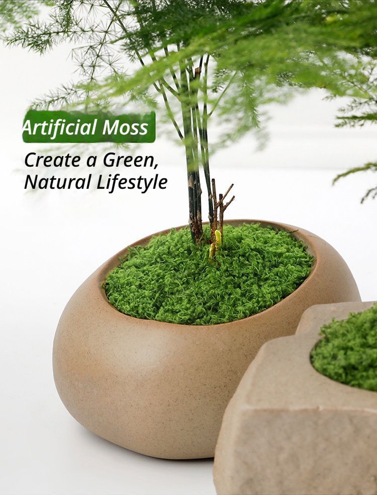 diy artificial moss lawn-Light Green Filamentous Moss 20g view 2