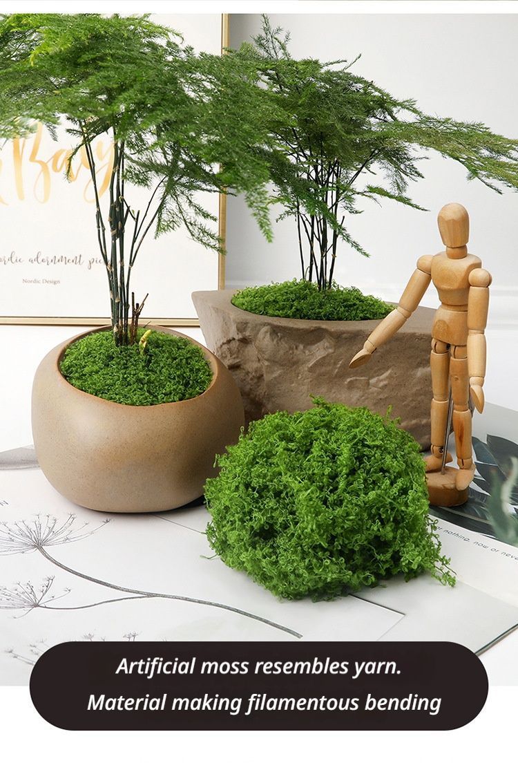 diy artificial moss lawn-Light Green Filamentous Moss 20g view 3