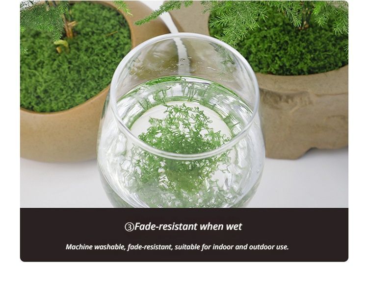diy artificial moss lawn-Light Green Filamentous Moss 20g view 5