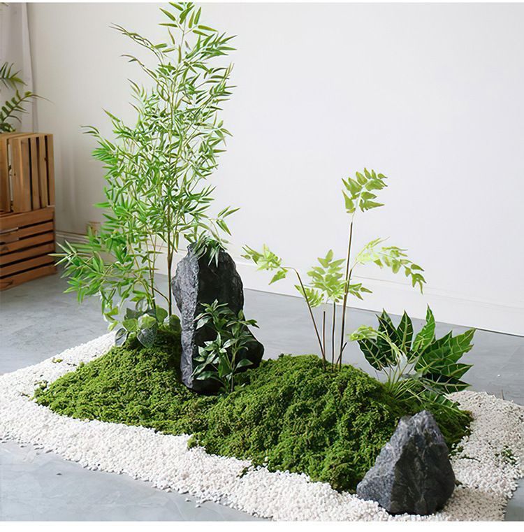 diy artificial moss lawn-Light Green Filamentous Moss 20g view 8