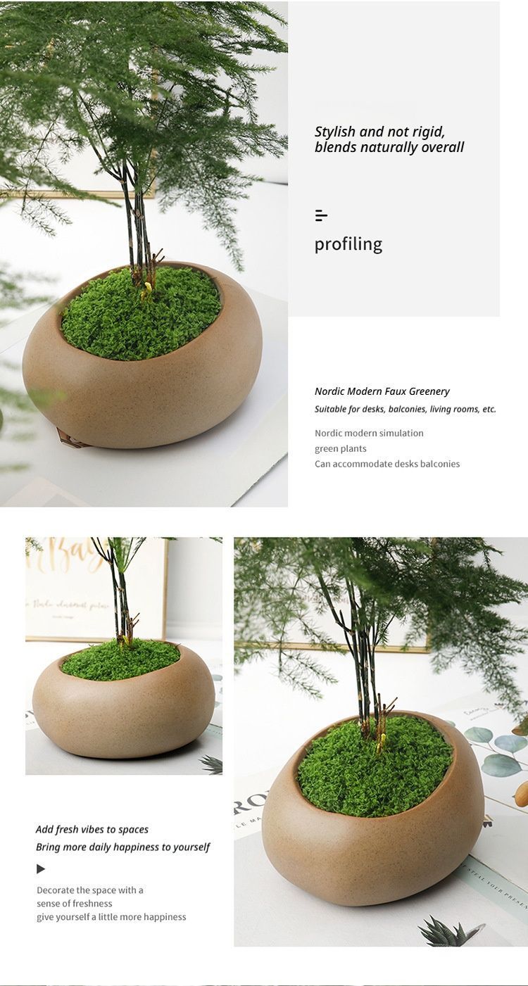 diy artificial moss lawn-Light Green Filamentous Moss 20g view 9