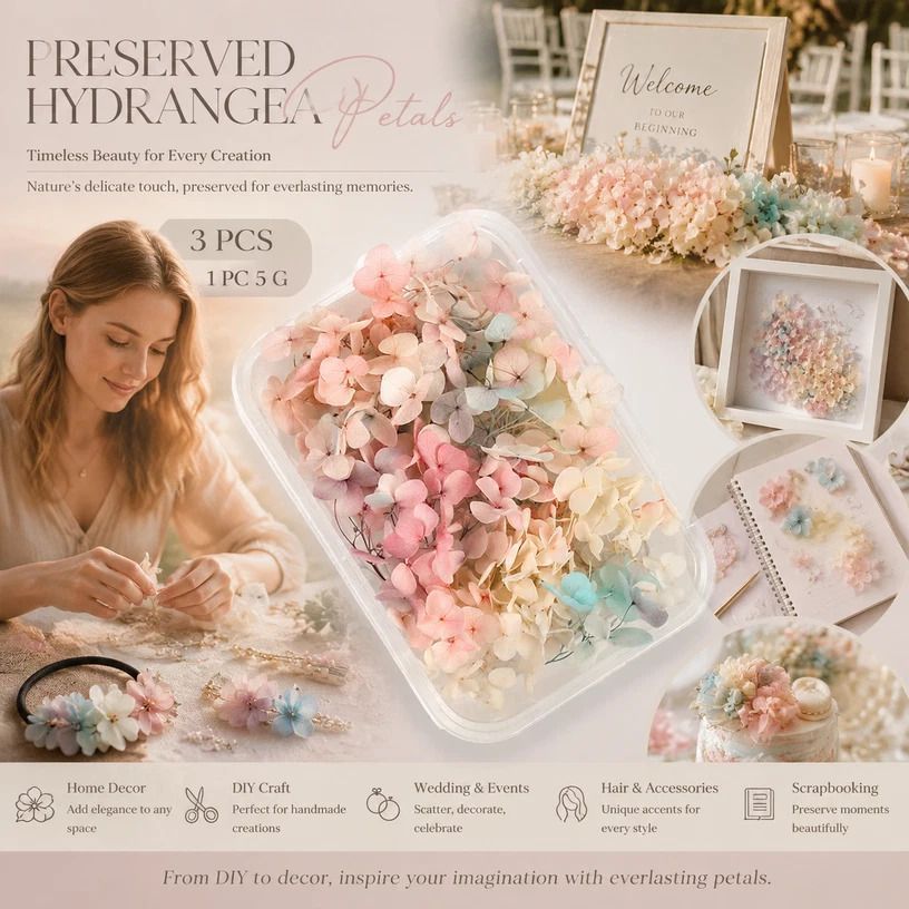 Champagne Gradient Preserved Hydrangea Dried Craft Flower Pack of 3 Boxes 5g — image 1