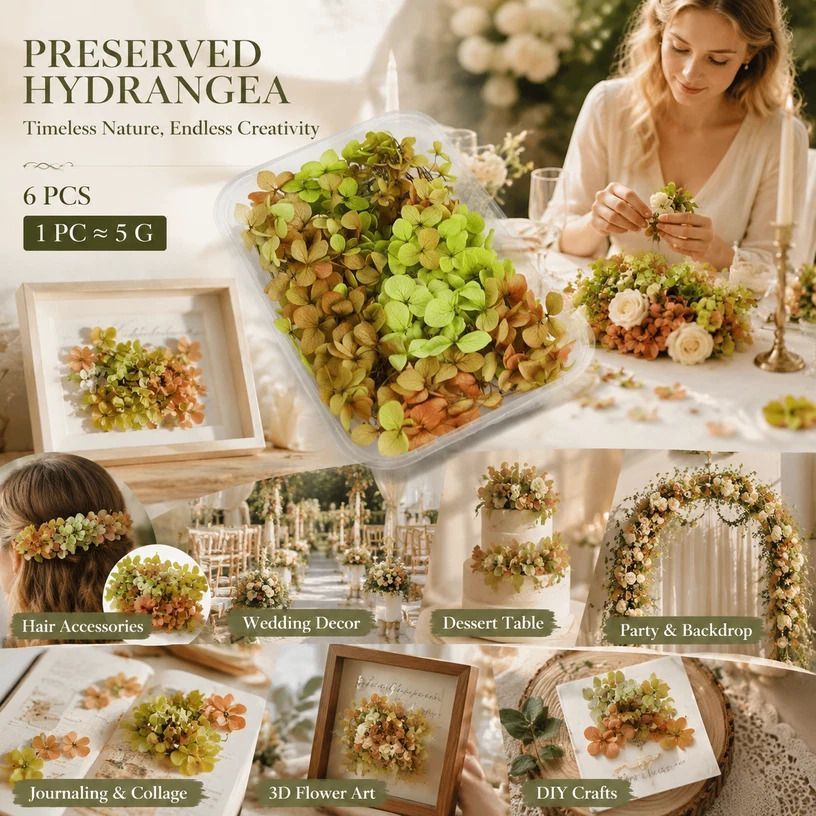 Soft Jade Tone Preserved Hydrangea Resin Craft Supply Kit 6×5g Boxes — image 1
