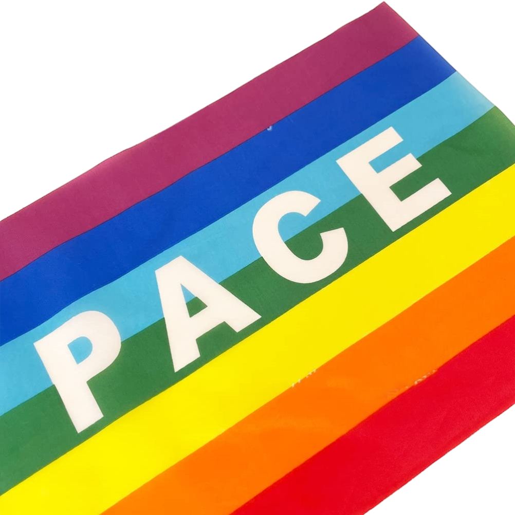 50/100Pcs Mini Peace Flag Rainbow Pacifist Flag Hand Held Polyester Peace Flag view 6
