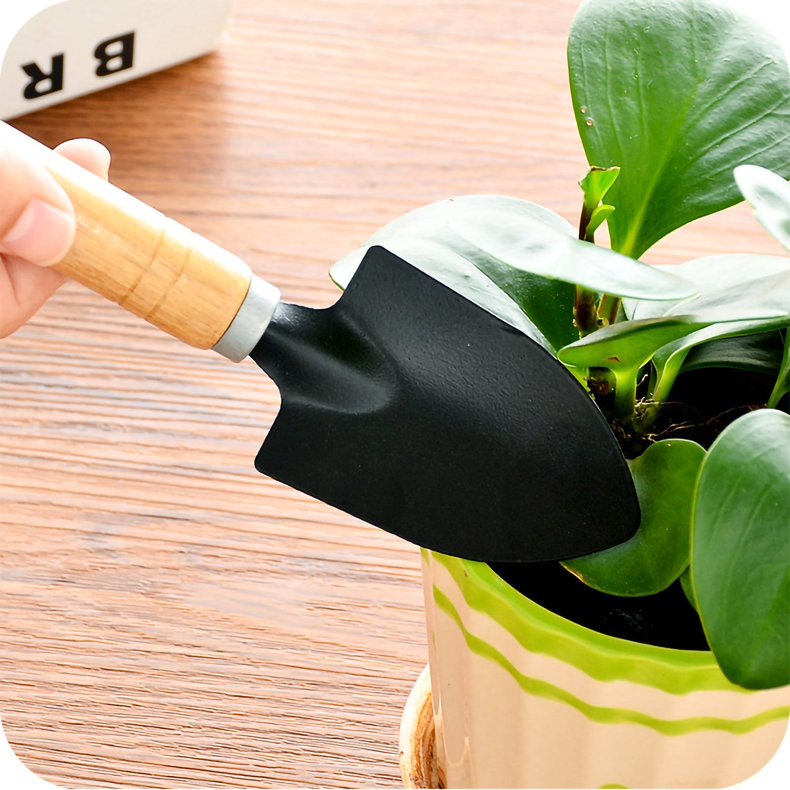 Garden Shovel Set Mini Kit Household Potted Planting Flowers Succulent view 4