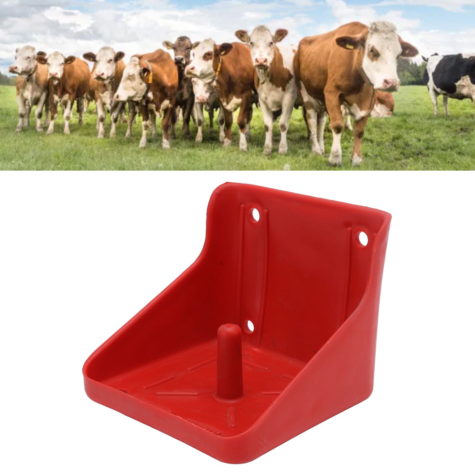Cattle Sheep Licking Brick Box Plastic Feed Salt Brick Licking Block Box Farm view 11