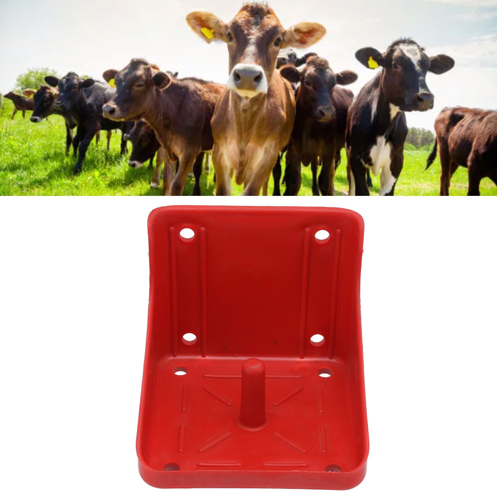 Cattle Sheep Licking Brick Box Plastic Feed Salt Brick Licking Block Box Farm view 12