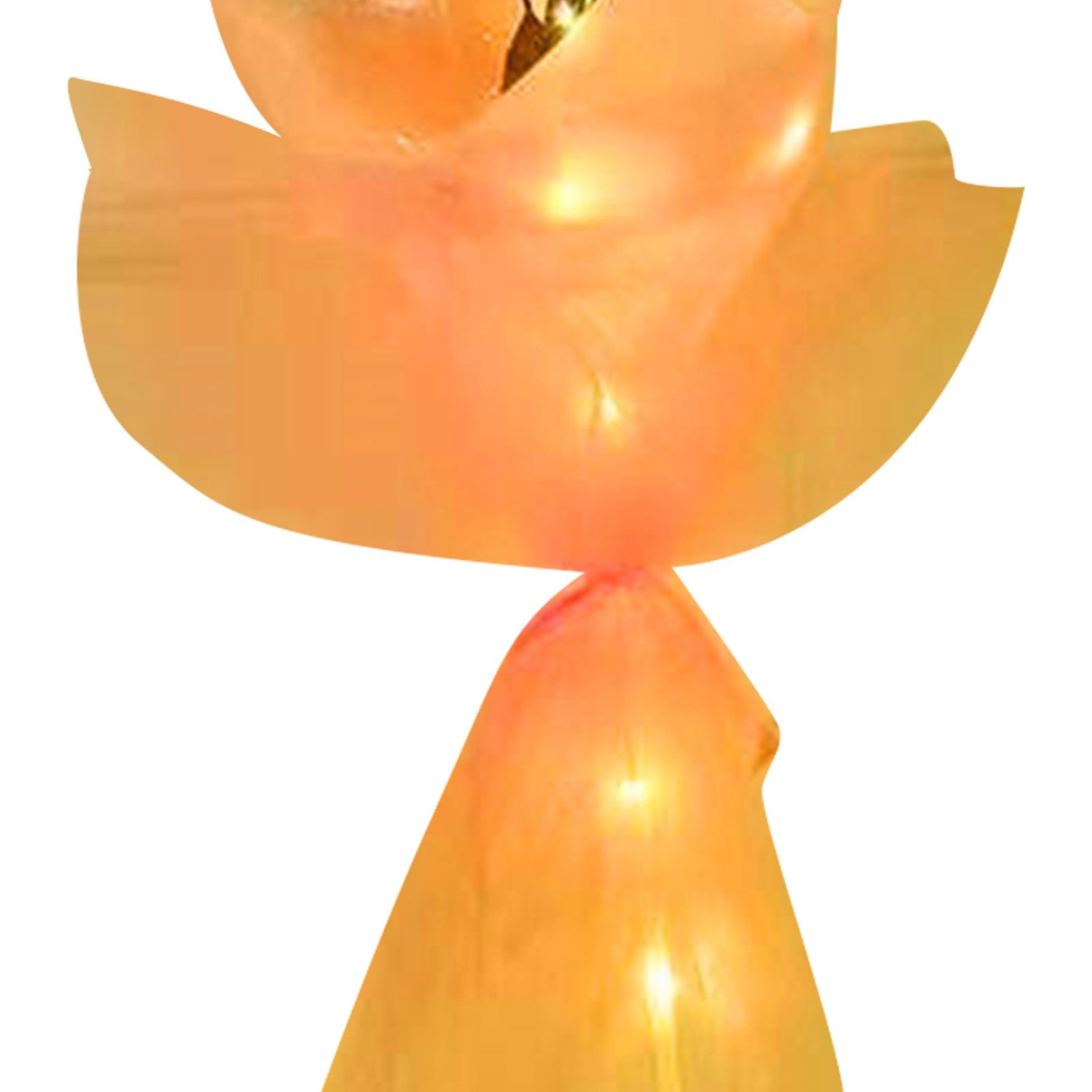 Luminous Balloon Rose Bouquet Transparent Ball Bouquet Valentines Day Gifts view 8