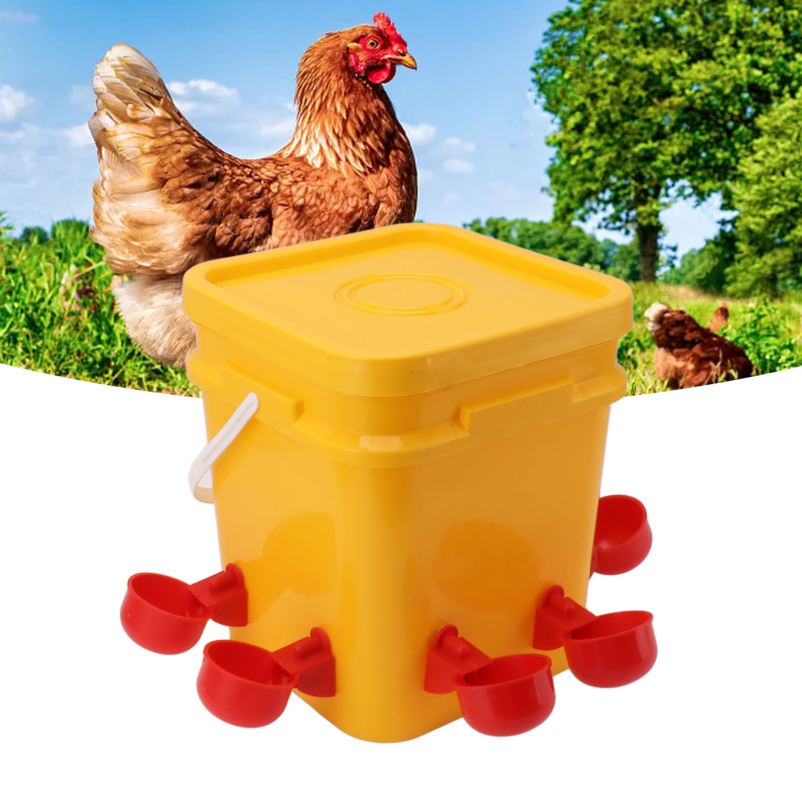 Automatic Chicken Waterer Cup with 12L Handheld Barrel Poultry Drinking view 11