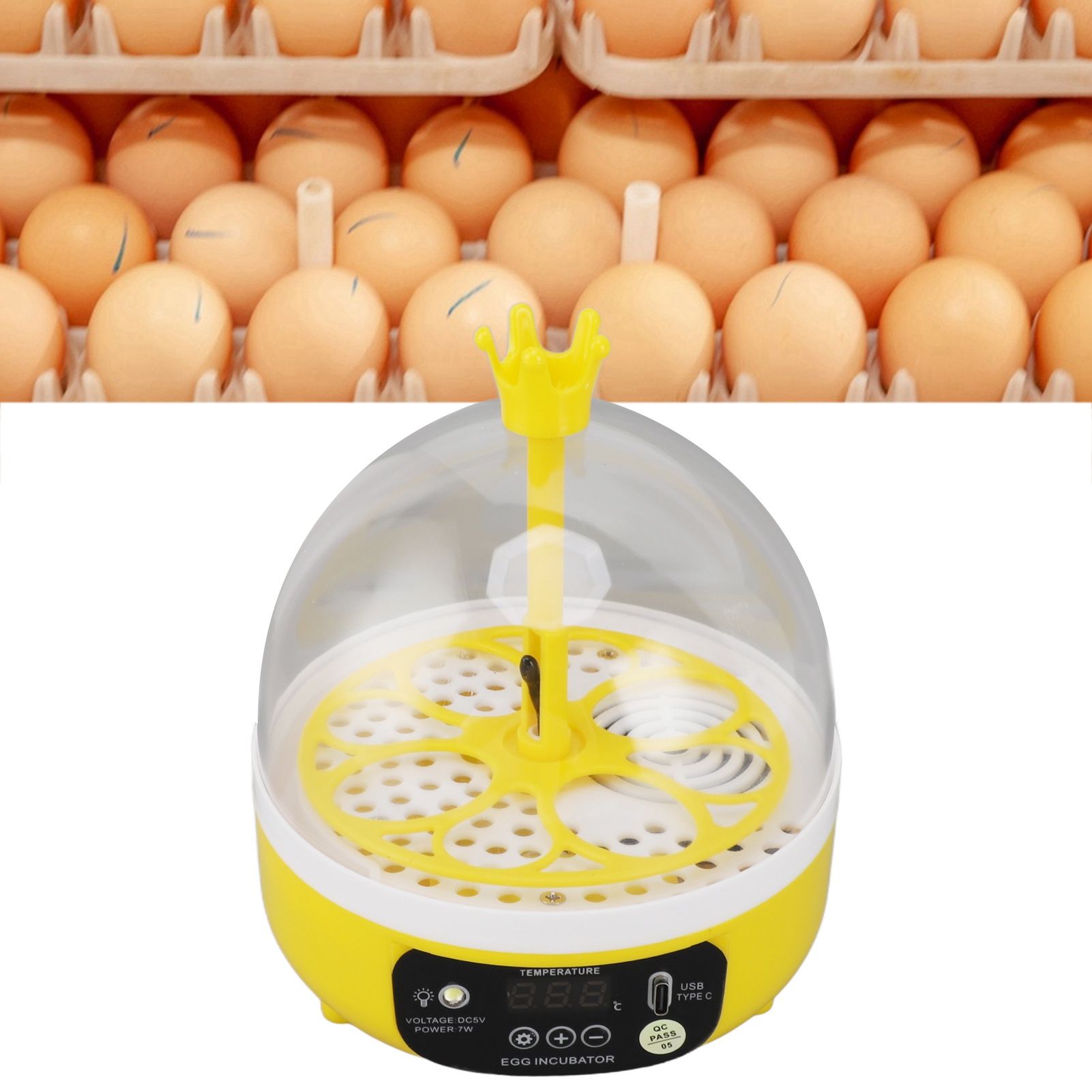 Mini Egg Incubator for Home Automatic Temperature Humidity Control 4 Eggs view 12