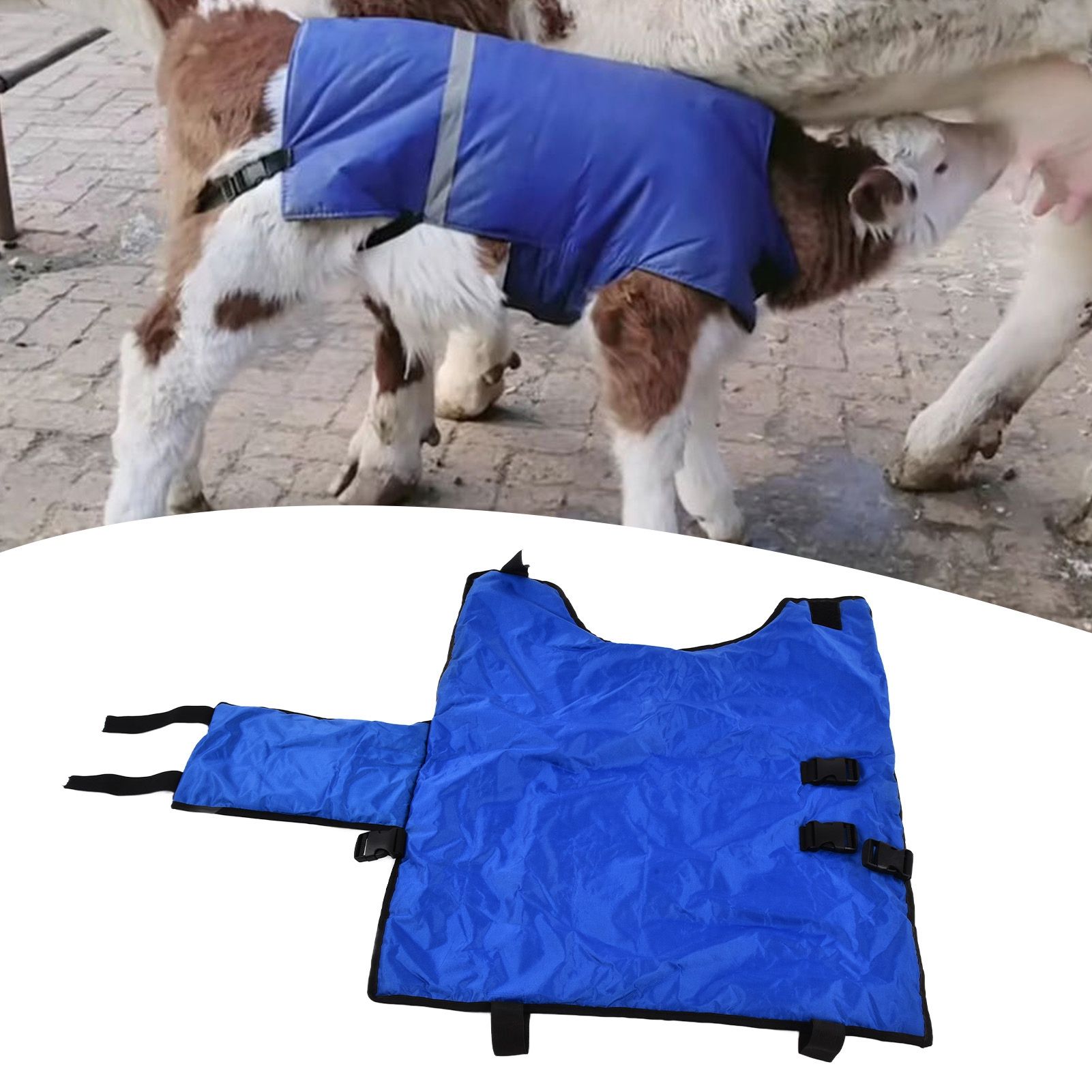 Livestock Calf Warm Clothing Waterproof Cold Proof Cow Vest for Little Cattle view 11