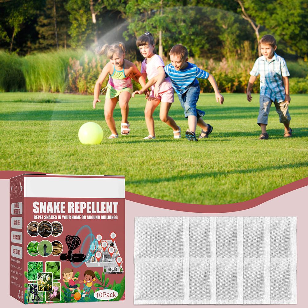 10Pcs Snake Away Repellent for Outdoor Yard Lawn Garden Camping Fishing Adventure view 4