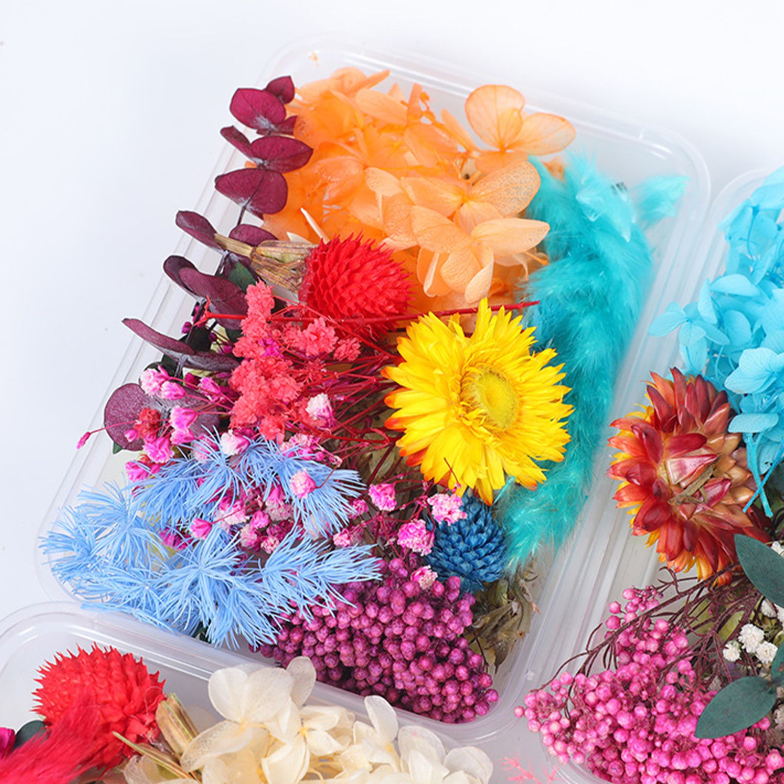 Dried Flower DIY Accessories Set view 3