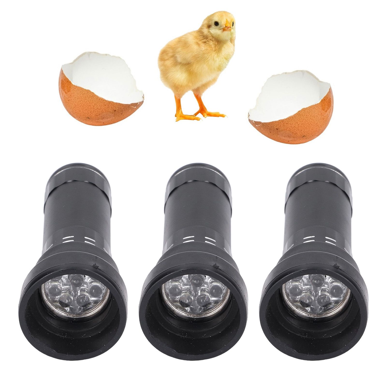 Egg Candler LED Cold Light Fine Workmanship Simple Operation Aluminum Alloy view 11