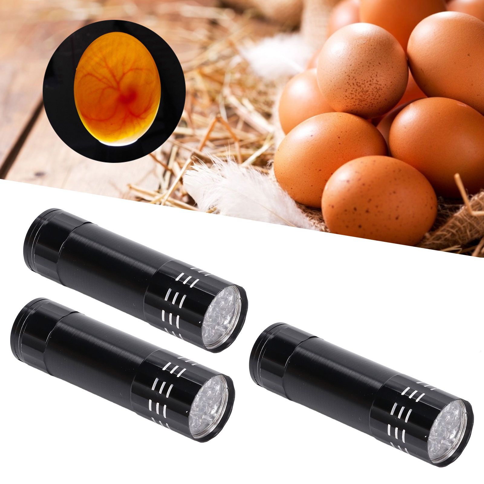 Egg Candler LED Cold Light Fine Workmanship Simple Operation Aluminum Alloy view 12
