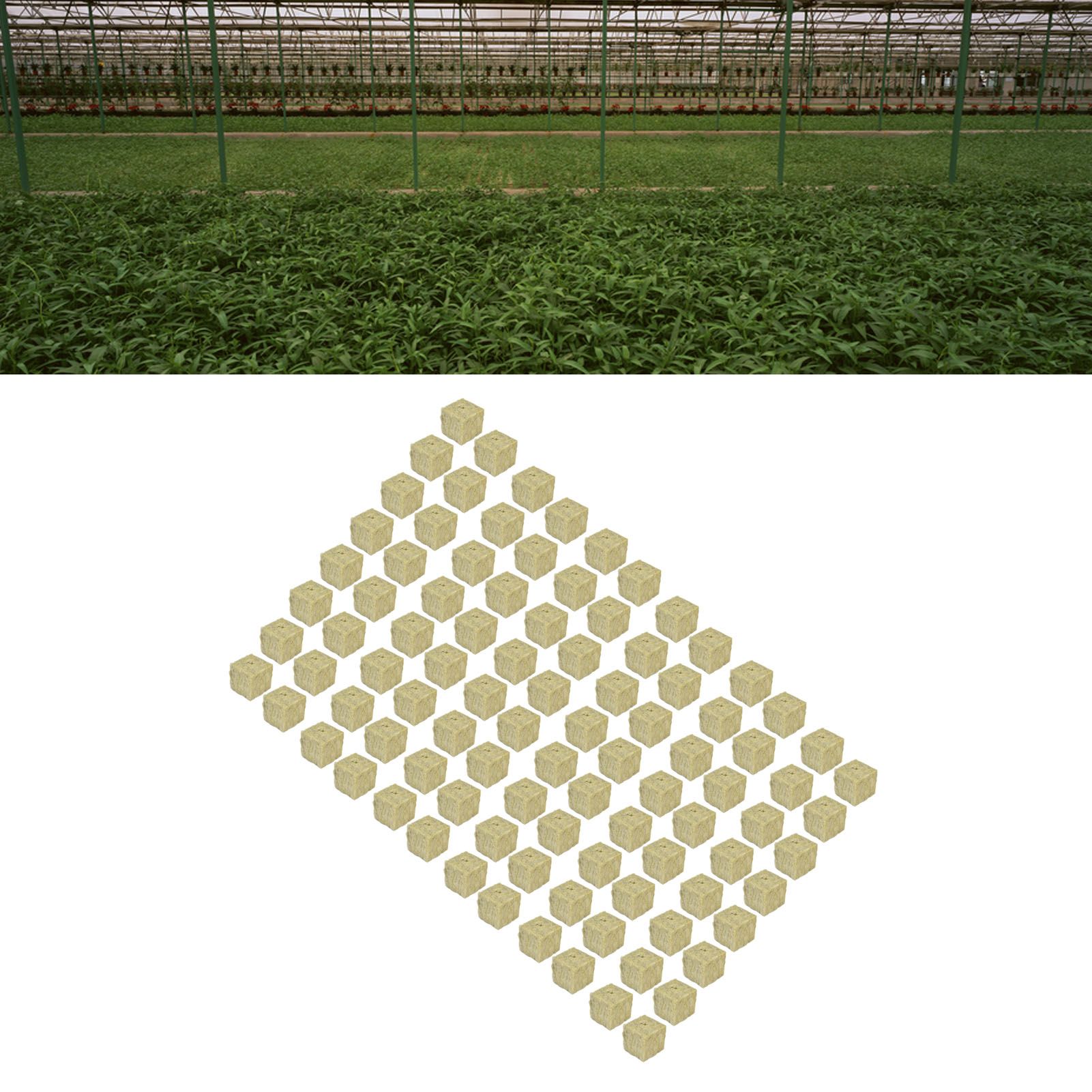 96PCS Plant Seedling Block Stonewool Grow Block Starter Plugs Garden Seedling view 11