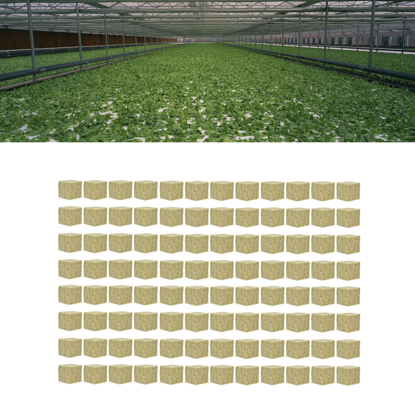 96PCS Plant Seedling Block Stonewool Grow Block Starter Plugs Garden Seedling view 12