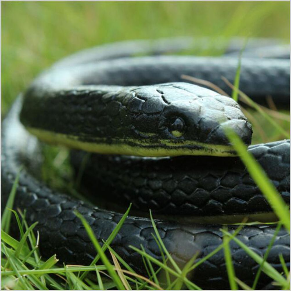 Long Realistic Garden Rubber Snake Fake Snakes for Fool's Day Halloween view 4