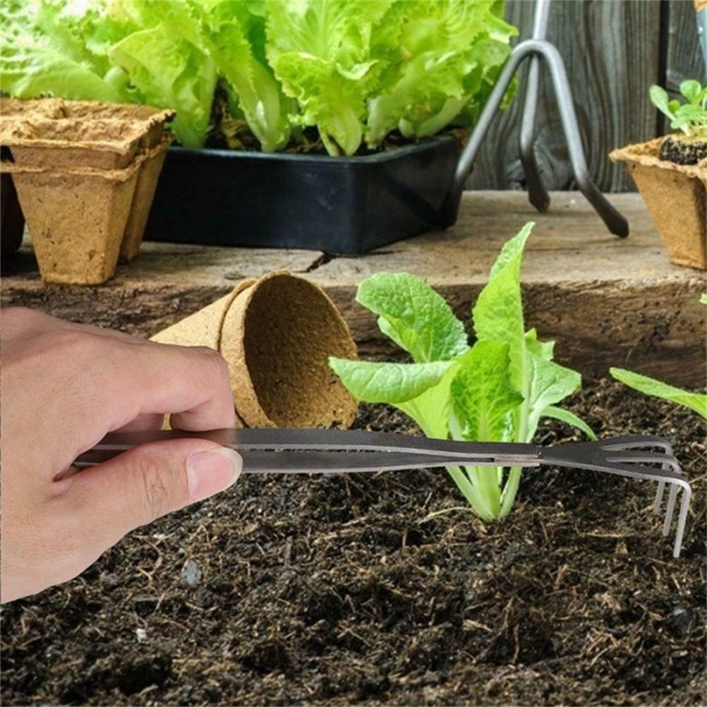 2 in 1 Bonsai Root Rake Stainless Steel Garden Tweezers Garden Tool view 4