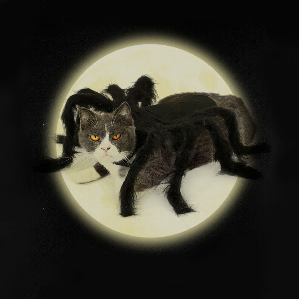 Pet Spider Costume Halloween Pet Spider Clothes Dog Cat Horror Simulation view 8