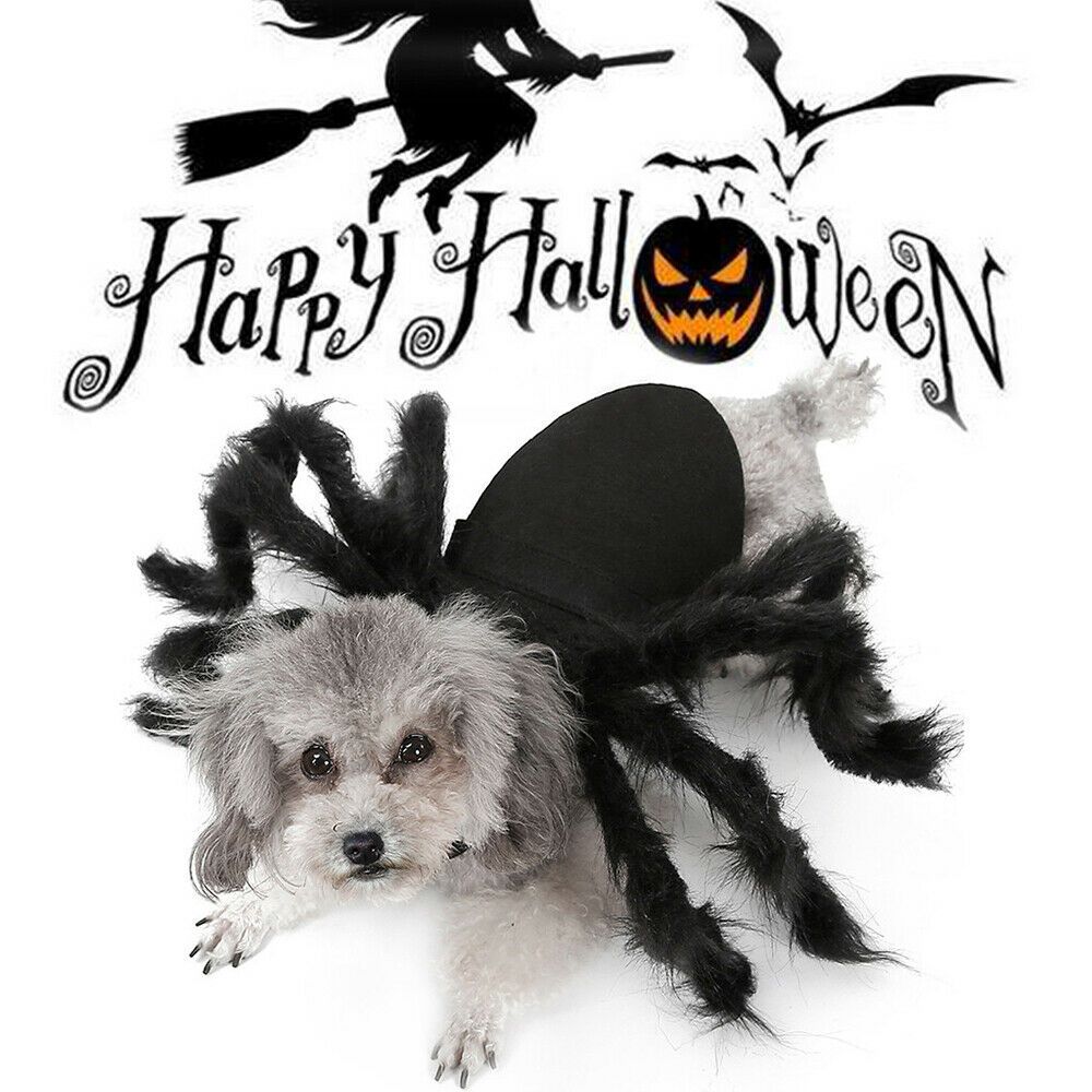 Pet Spider Costume Halloween Pet Spider Clothes Dog Cat Horror Simulation view 9
