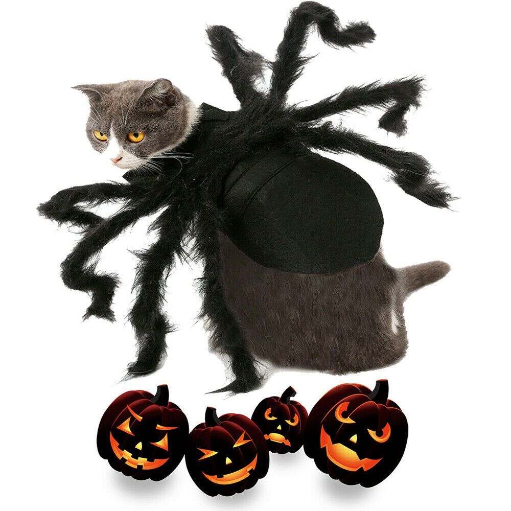 Pet Spider Costume Halloween Pet Spider Clothes Dog Cat Horror Simulation view 10