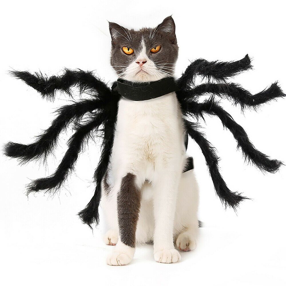 Pet Spider Costume Halloween Pet Spider Clothes Dog Cat Horror Simulation view 13
