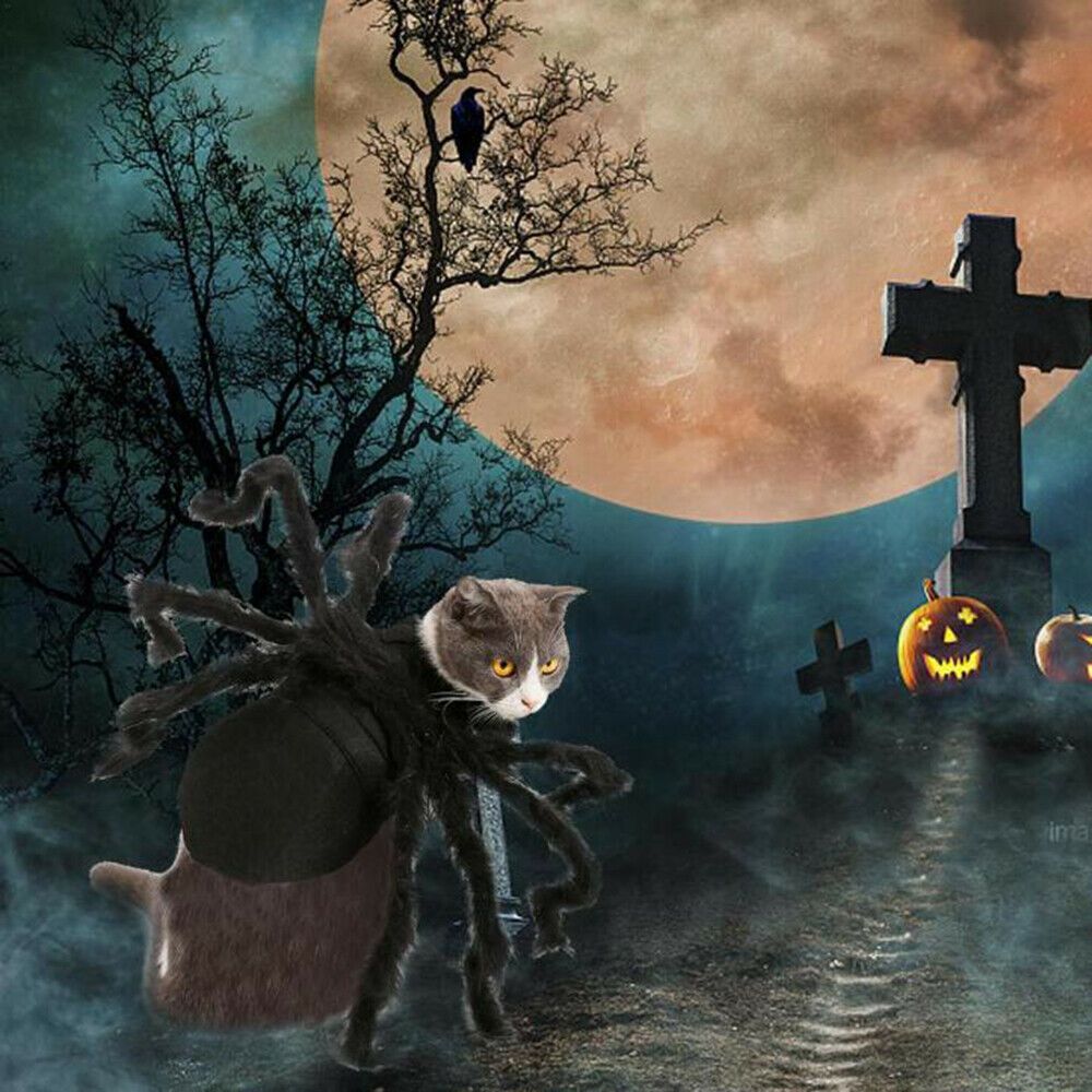 Pet Spider Costume Halloween Pet Spider Clothes Dog Cat Horror Simulation view 15