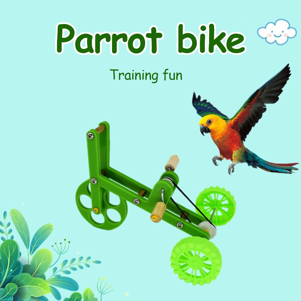 Training Parrot Mini Bike Toy Bird Game Supplies for Recreational Bird Training view 7