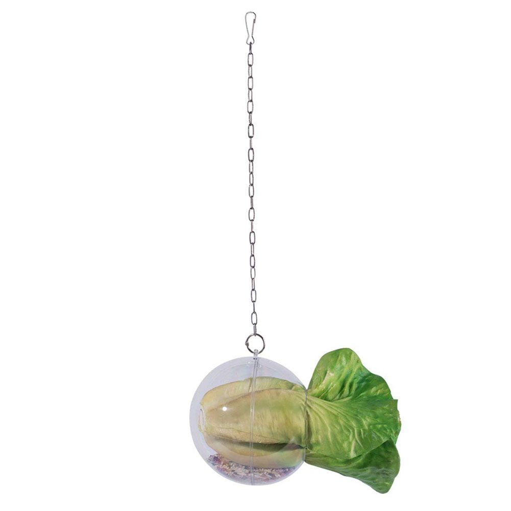 Hanging Foraging Ball Chicken Foraging Toy Plastic Pet Feeding Ball for Bird Hens view 5
