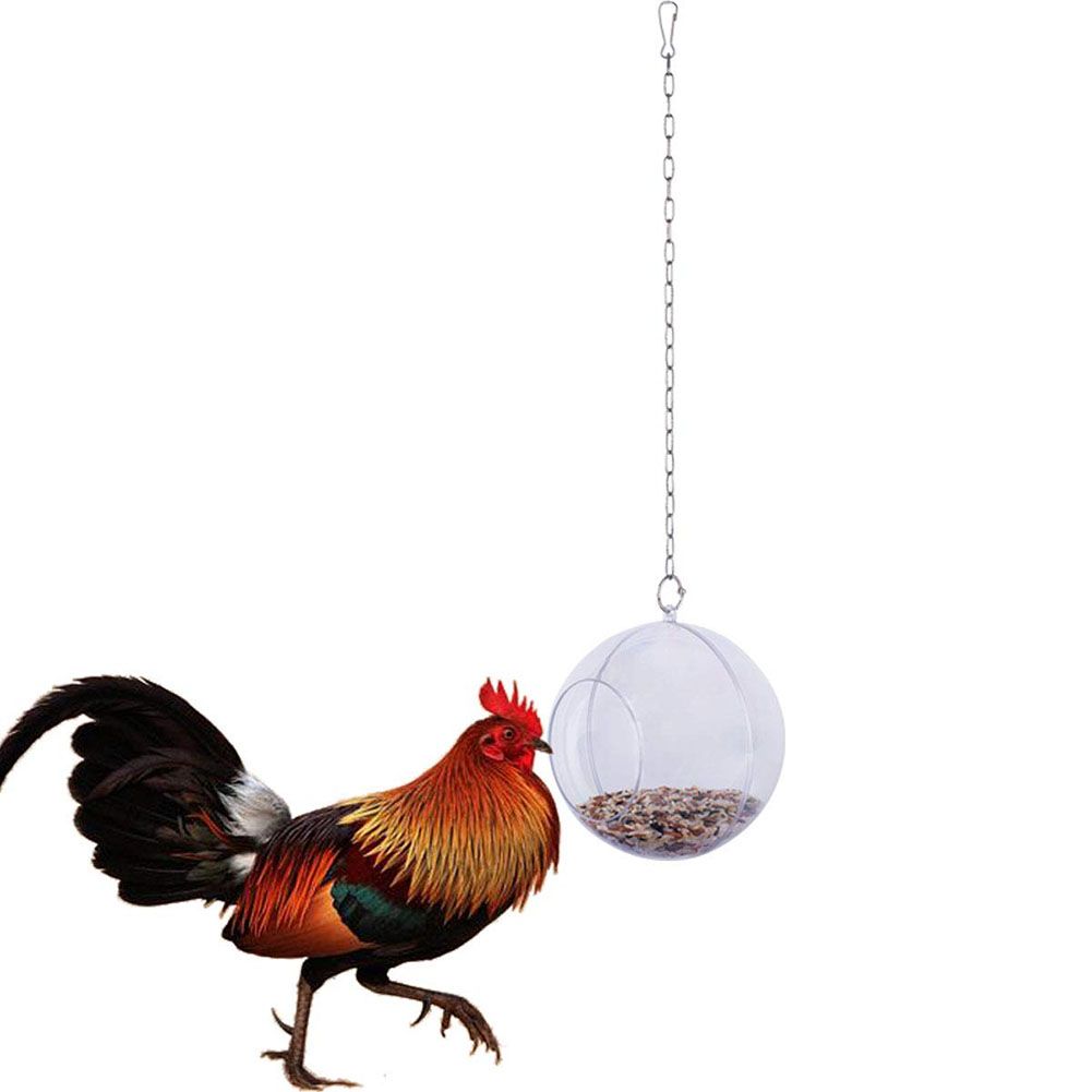 Hanging Foraging Ball Chicken Foraging Toy Plastic Pet Feeding Ball for Bird Hens view 7