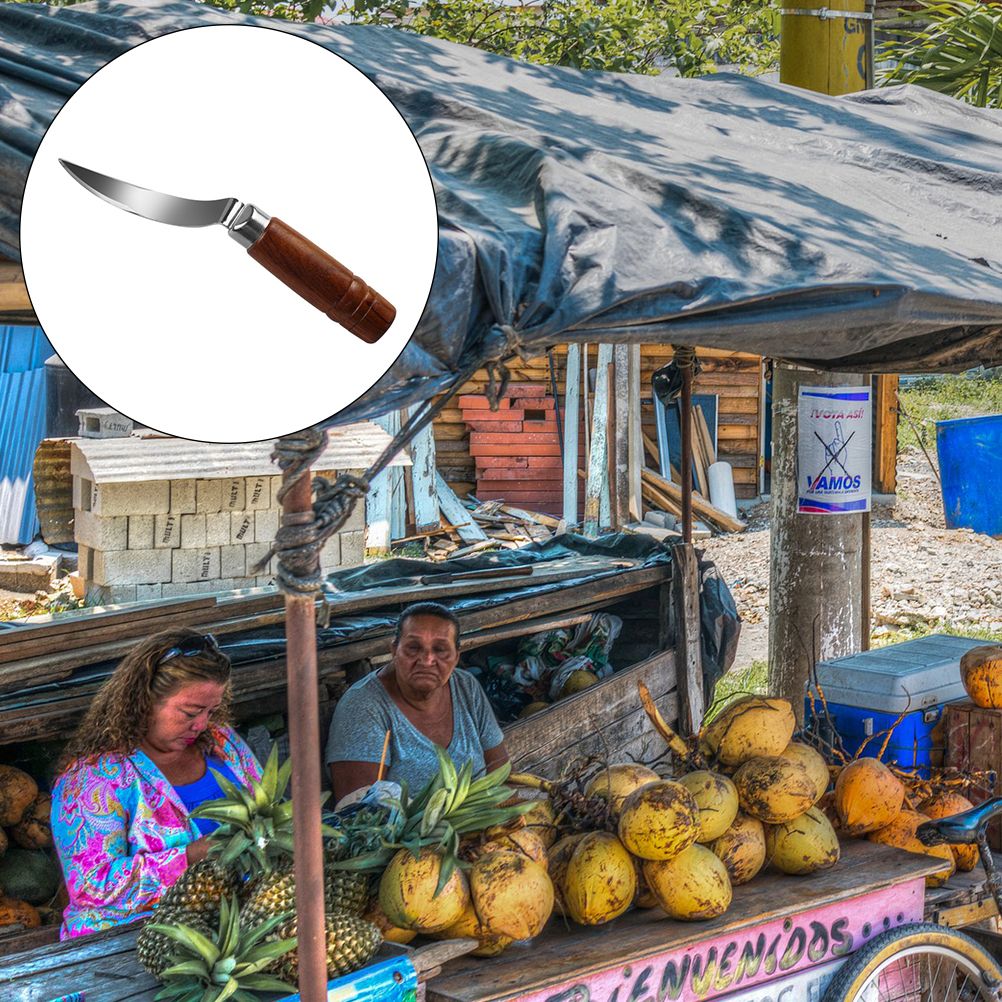 Stainless Steel Coconut Opener Knife Shell Opener Fruit Vegetable Meat view 8