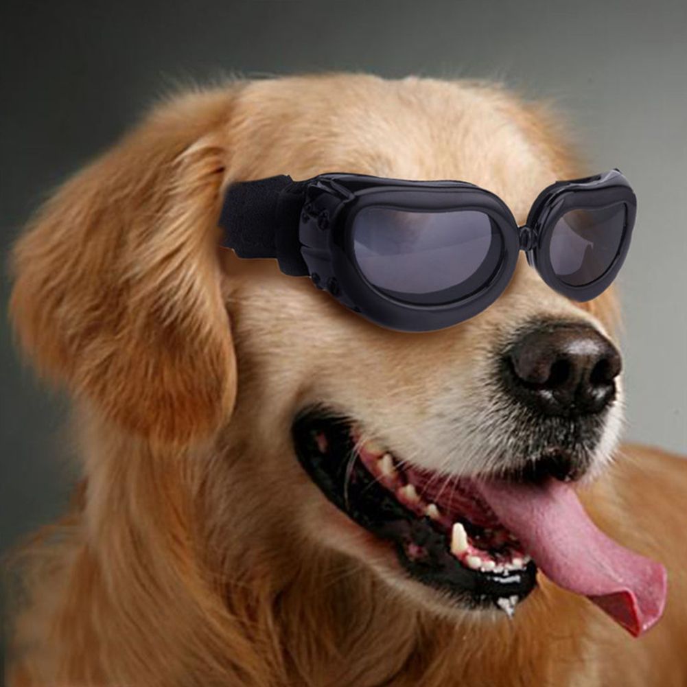 Dog Goggles Small Dog Sunglasses Waterproof Windproof UV Protection Dog view 5