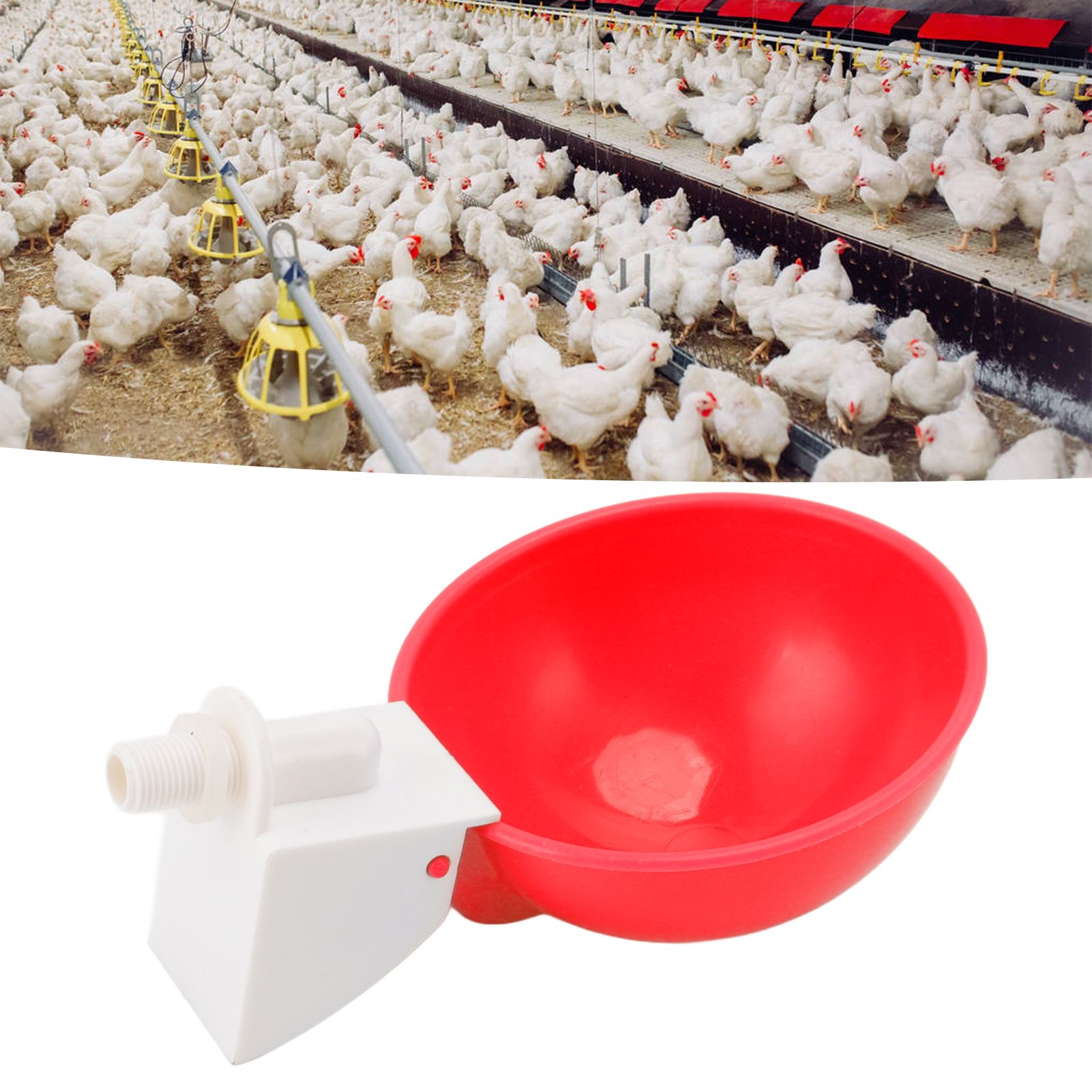 10PCS G1/8 Male Thread Chicken Waterer Cup Thicken Automatic Poultry Water view 11