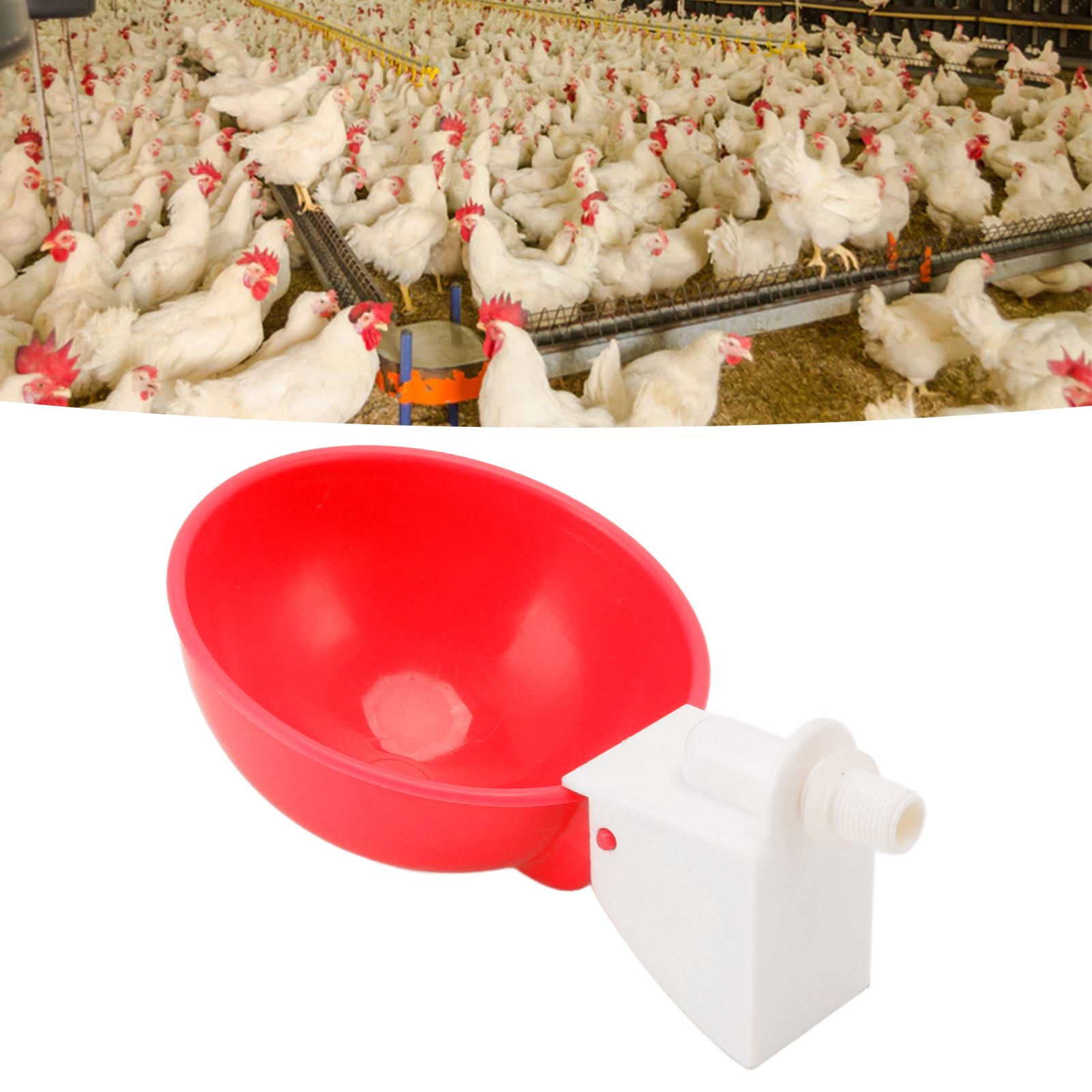 10PCS G1/8 Male Thread Chicken Waterer Cup Thicken Automatic Poultry Water view 12
