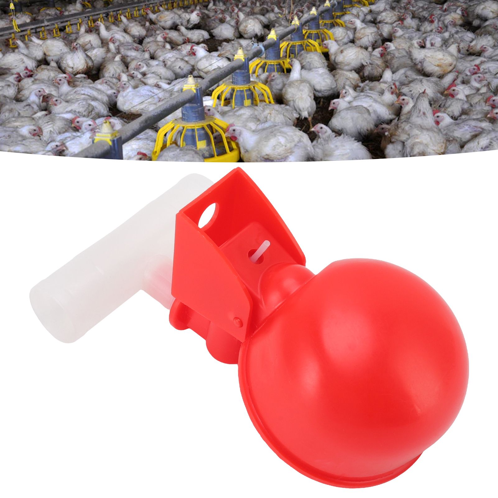 10 Set Chicken Waterer Cups Automatic Filling Prevent Leakage Pigeon Drinking view 11