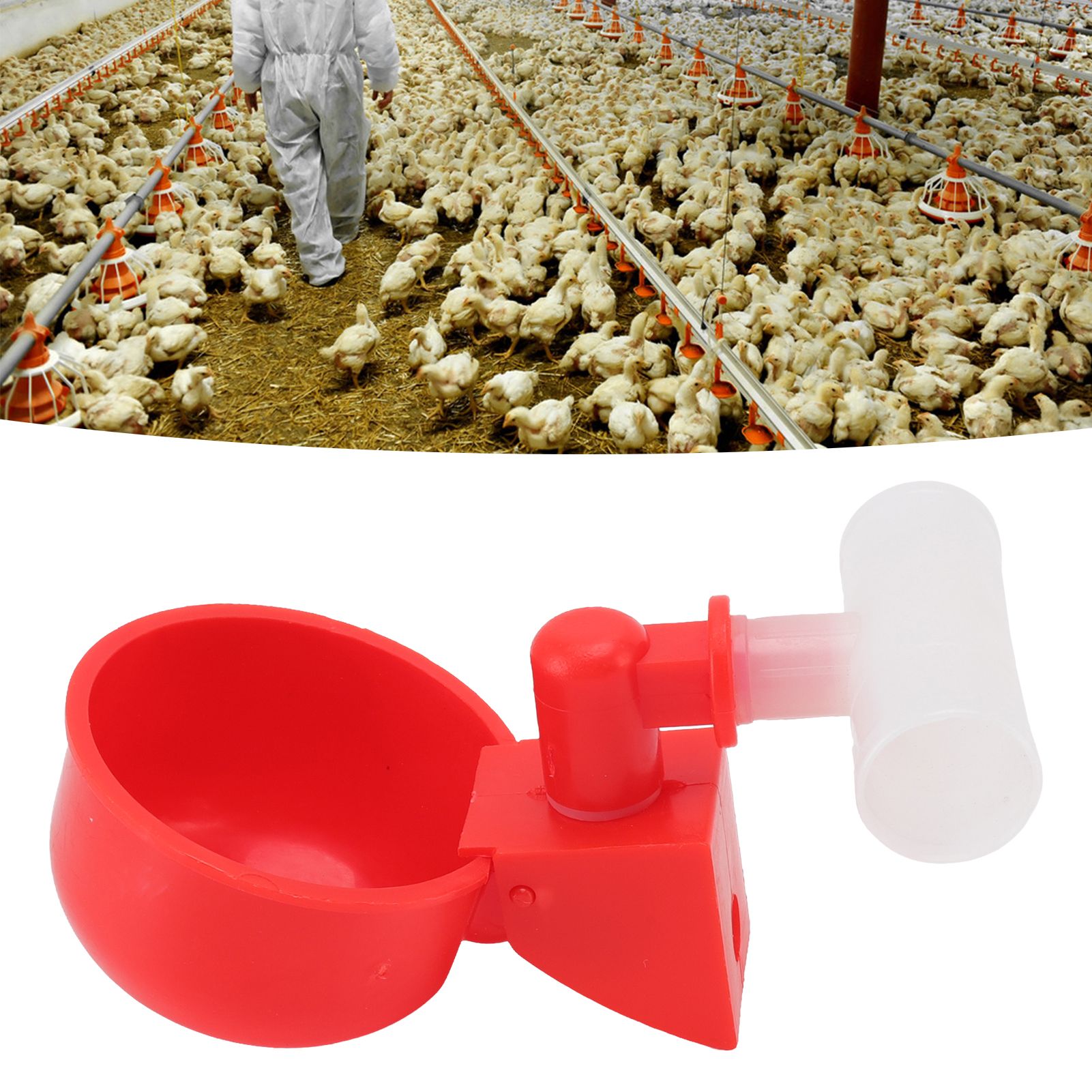 10 Set Chicken Waterer Cups Automatic Filling Prevent Leakage Pigeon Drinking view 12
