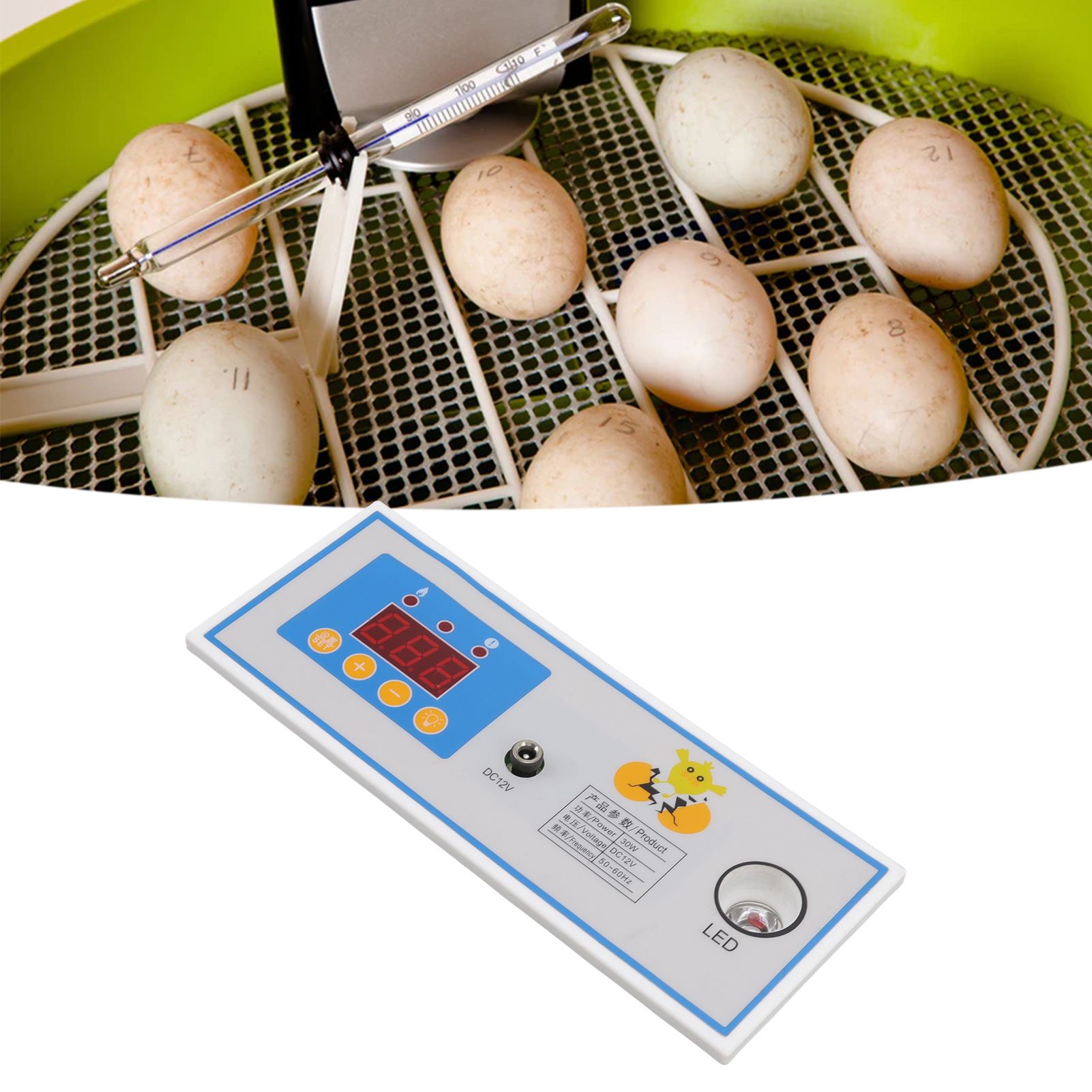 Incubator Temperature Controller Digital Full Automatic Incubator Thermostat view 11