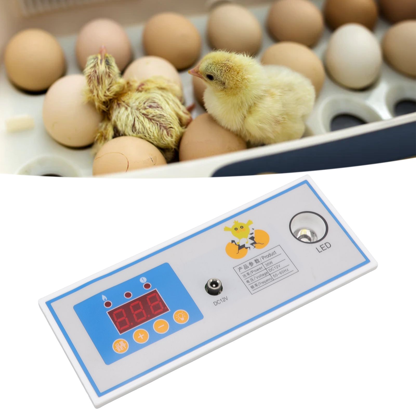 Incubator Temperature Controller Digital Full Automatic Incubator Thermostat view 12