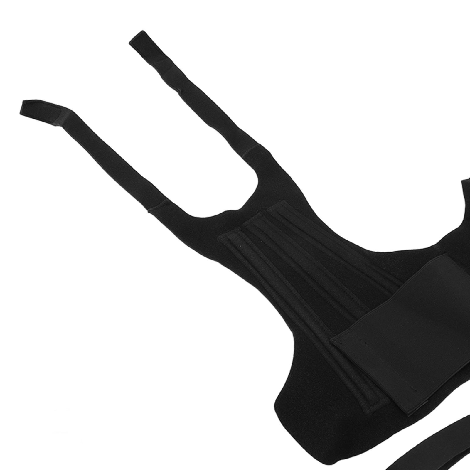 Dog Back Bracer Polyester Strong Rigidity Flexible Back Supporting Vest for view 15