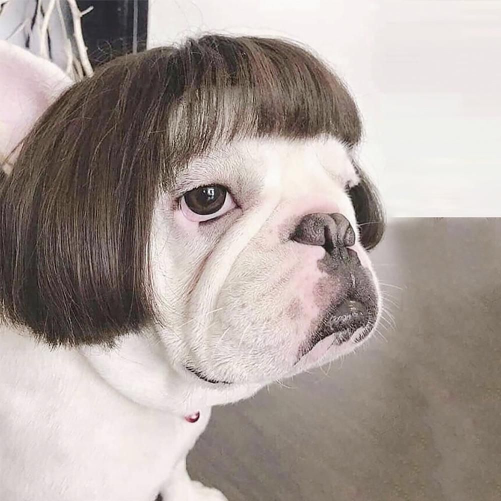 Dog Wig Pet Costumes Pet Headwear Hair Costumes for Festival Cosplay Party — image 1